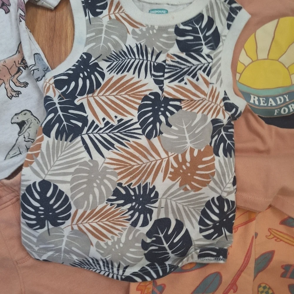Kids' Summer Outfit Set - Dinosaur, Leaf, and Surfboard Prints